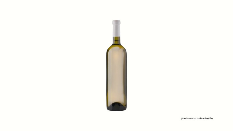 Marqués De Riscal Blanc – 75 Cl
