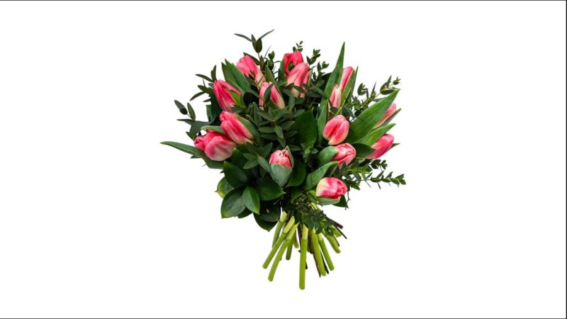 Pink Tulips 15 Pieces