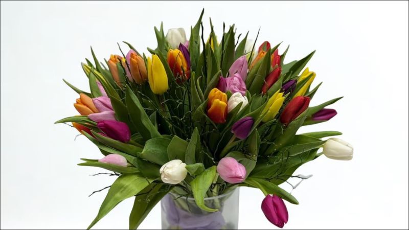 Multicolor Tulips 55 Pieces