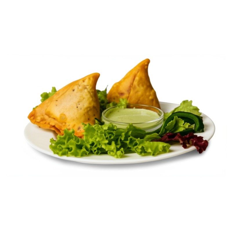 E5. Vegetable Samosa