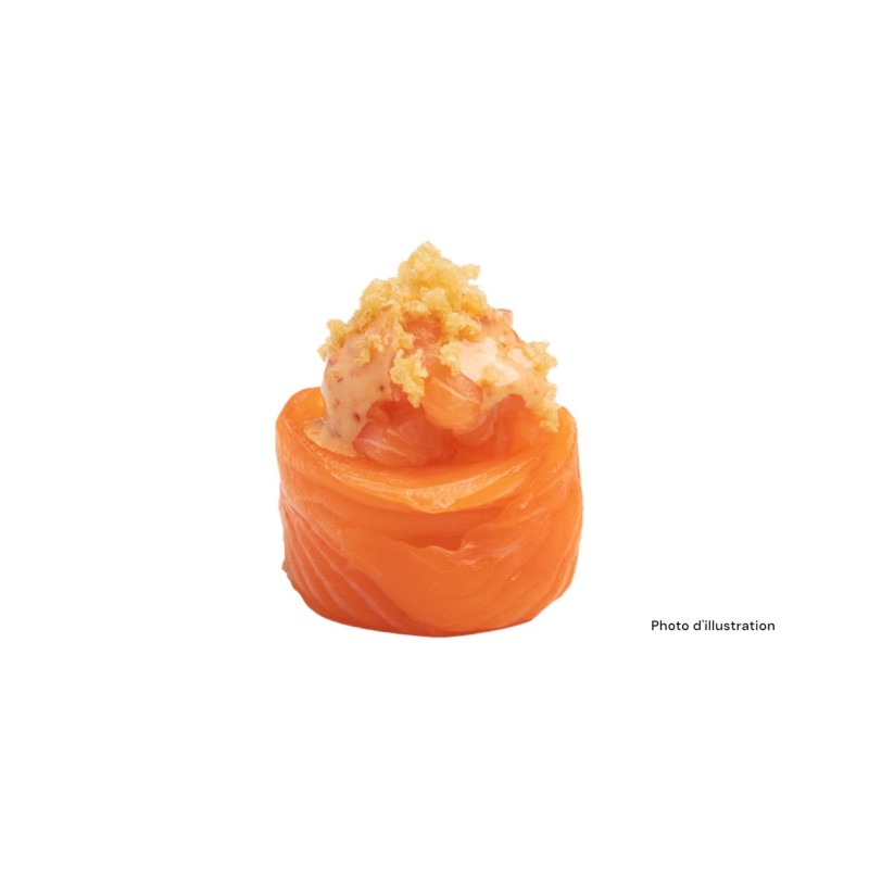 Tu5 Délice De Saumon