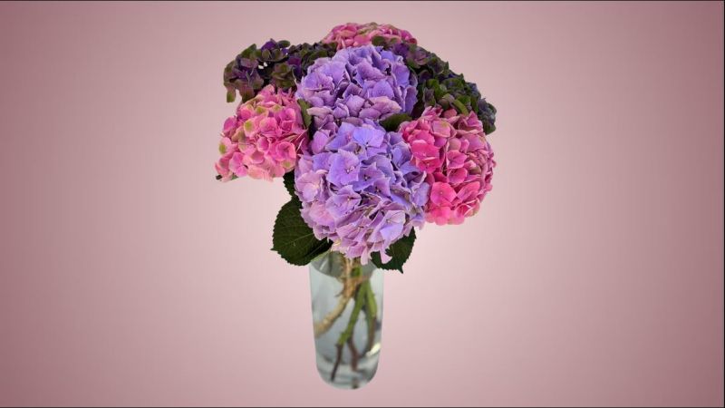 Hydrangea Mix Bouquet 7 Pieces