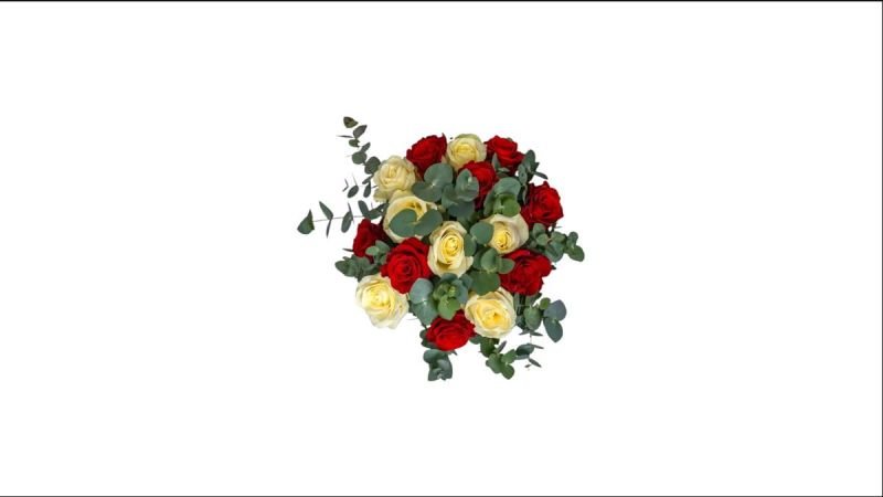 Red And White Roses Bouquet 15 Pieces