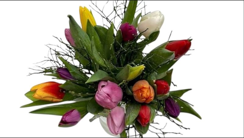 Multicolor Tulips 15 Pieces