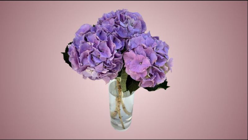 Purple Hydrangea Bouquet 3 Pieces