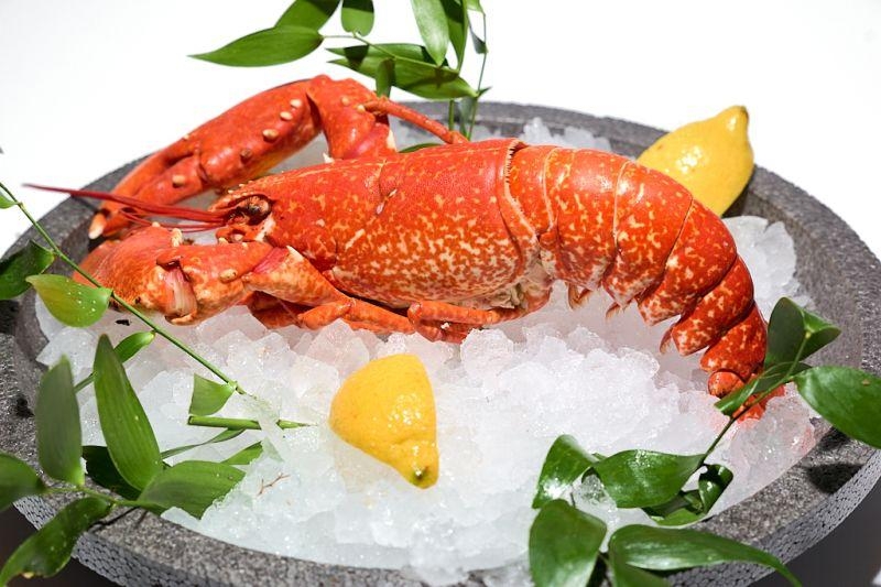 Homard Breton Entier