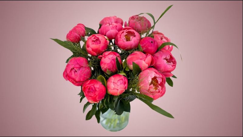 Coral Peonies Bouquet 15 Pieces