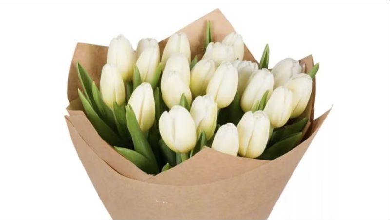 White Tulips 15 Pieces