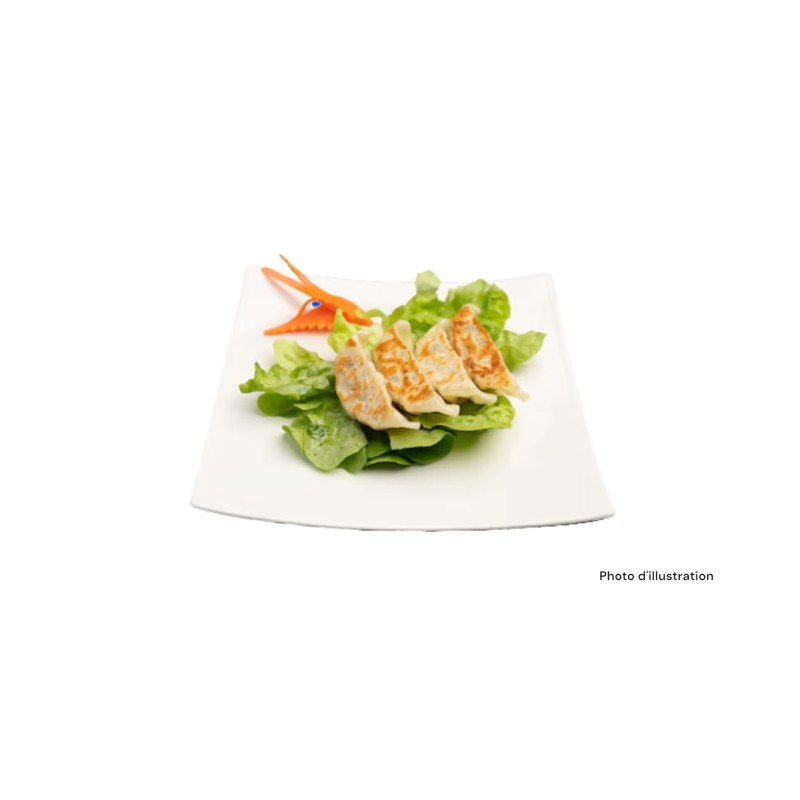 J216 Gyoza De Poulet