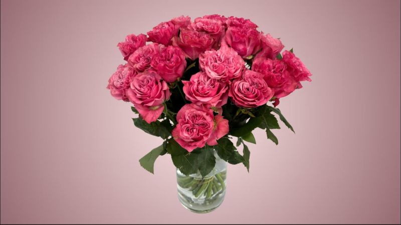 Pink Roses Bouquet 21 Pieces