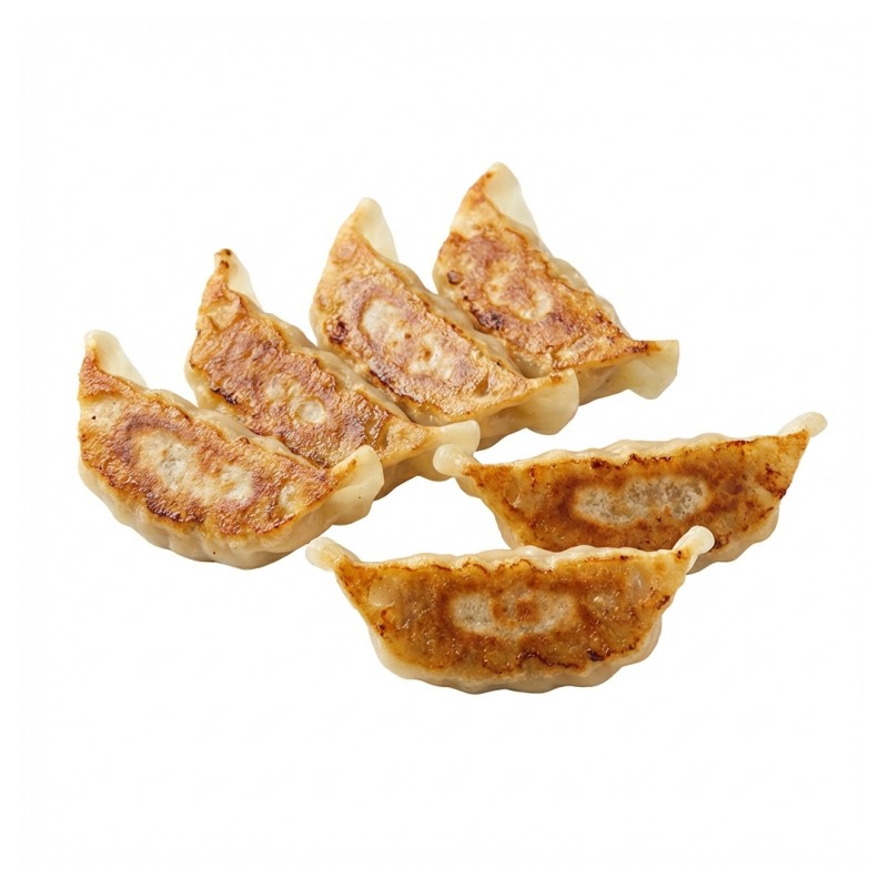 102. Raviolis Grillé Au Poulet