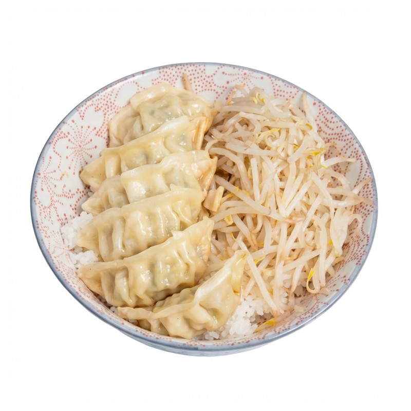 Gyoza Don