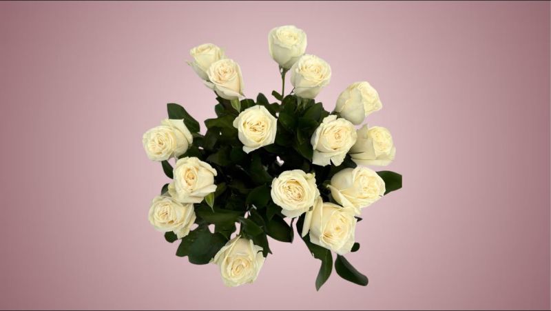 White Roses Bouquet 15 Pieces
