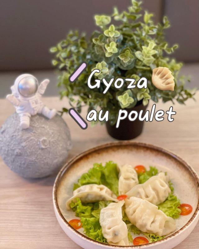 Gyoza Au Poulet
