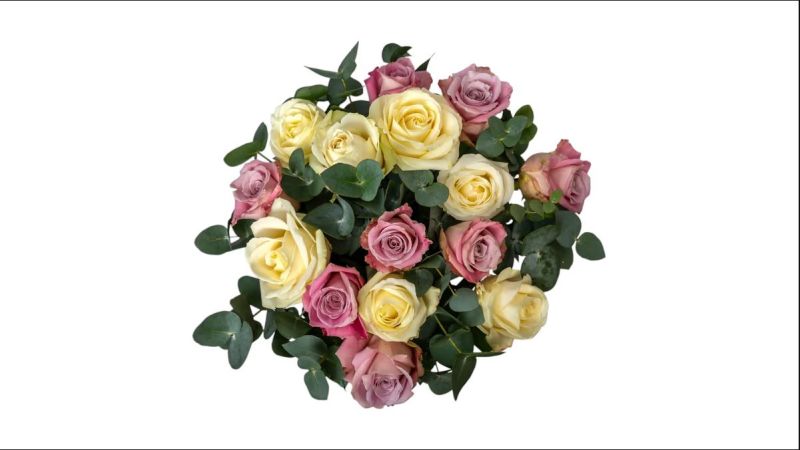 Pink And White Roses Bouquet 15 Pieces