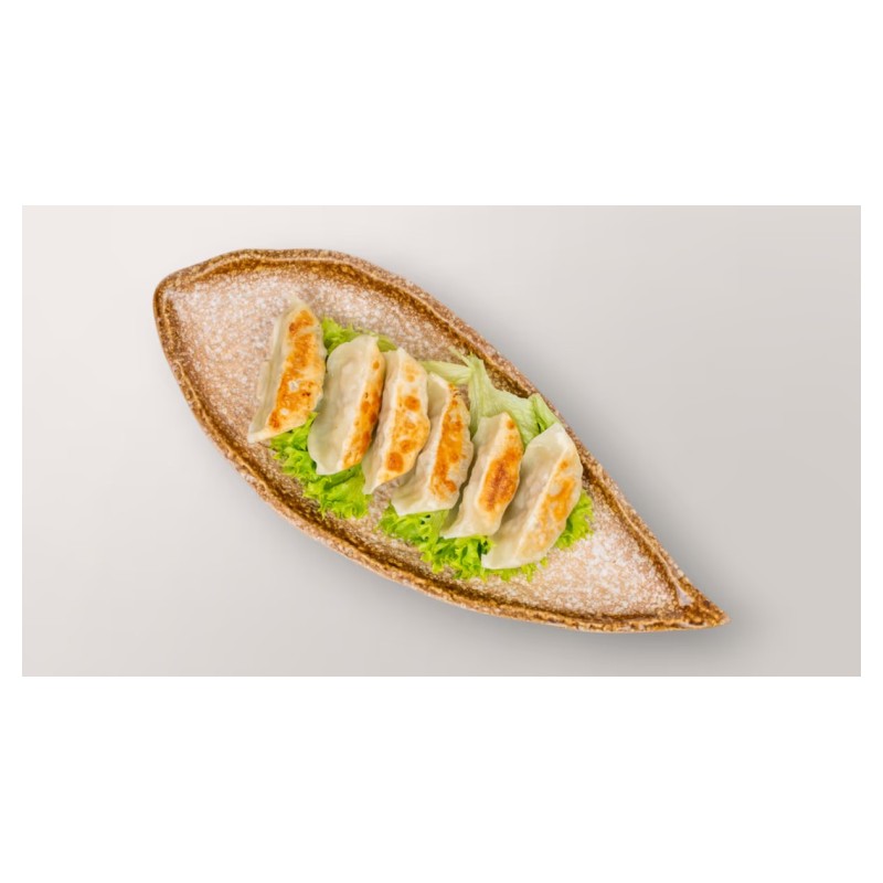 21 Gyoza Au Poulet