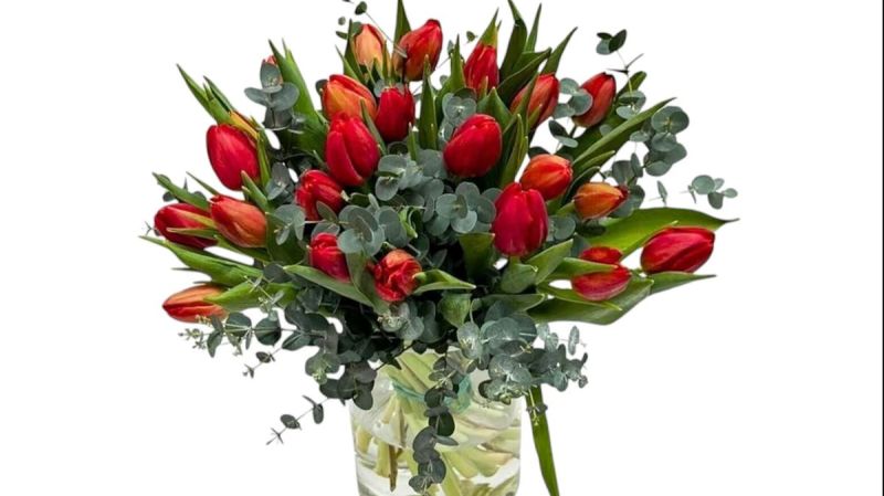 Red Tulips 55 Pieces