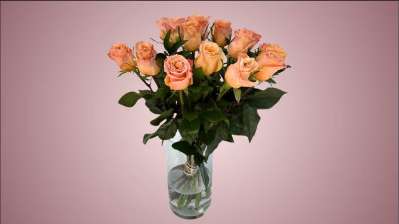 Apricot Roses Bouquet 15 Pieces