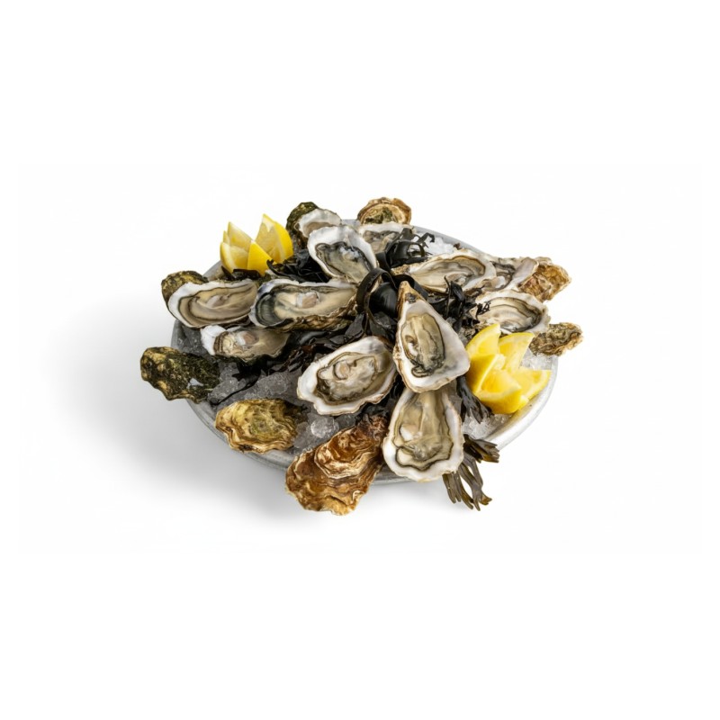 Mixtes D'huîtres