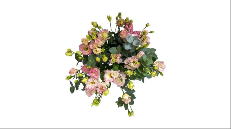 Pink Lisiantus Bouquet 5 Pieces