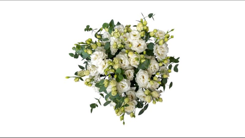 White Lisiantus Bouquet 10 Pieses