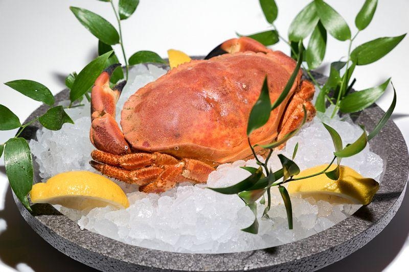 1 Tourteau Extra Entier