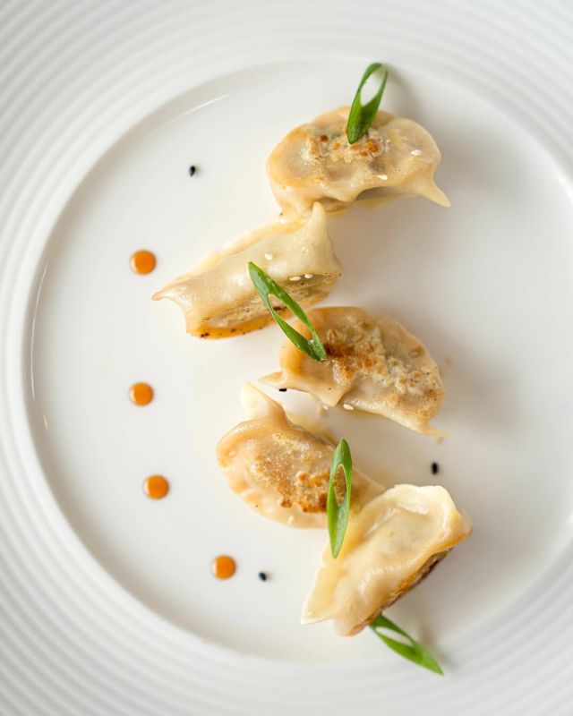 Ravioli Chinois Poêlés - Gyoza Fait Maison
