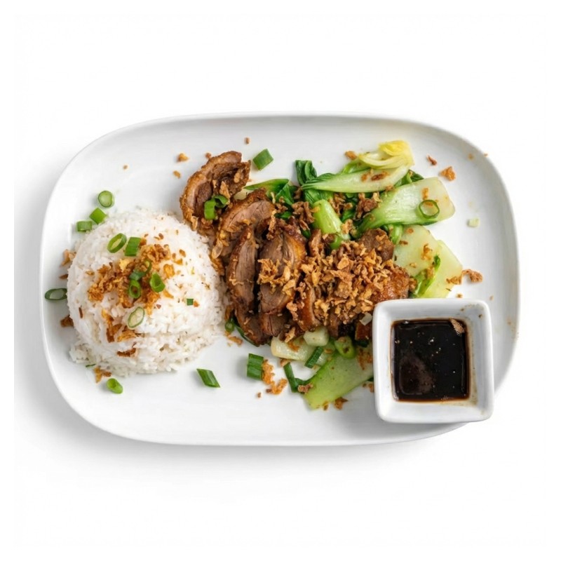 Roast Duck Rice