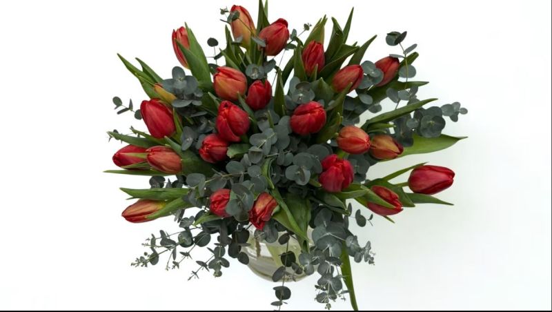 Red Tulips 25 Pieces