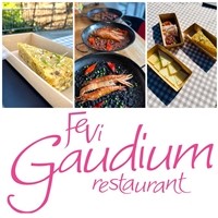 Fevi Gaudium