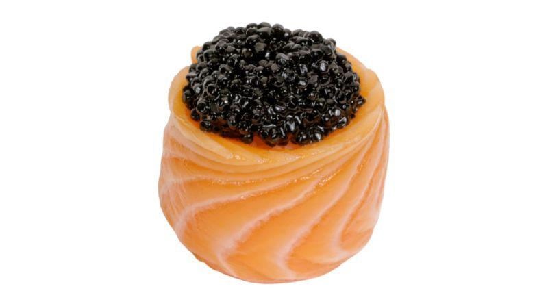 Tulipe Saumon / Fly Fish