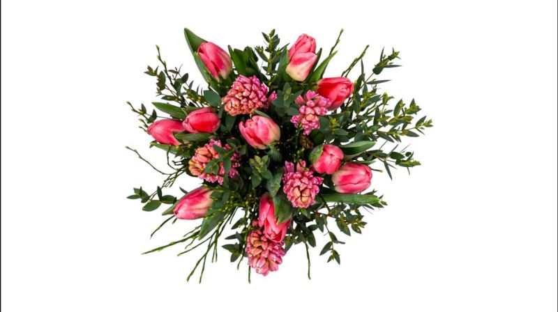 Pink Tulips 10 Pieces, Hyacinths 5 Pieces