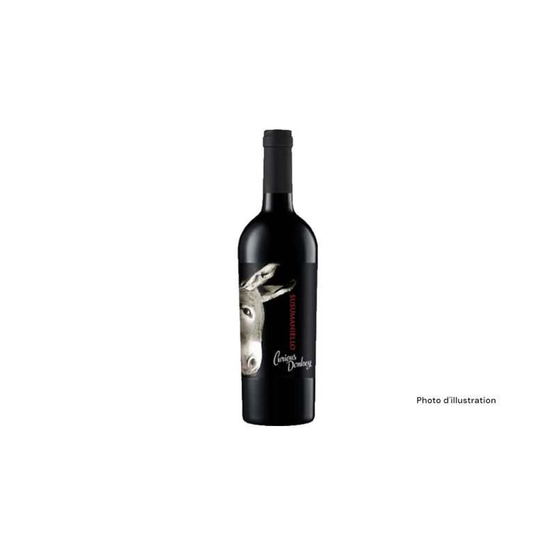 Curious Donkey Puglia