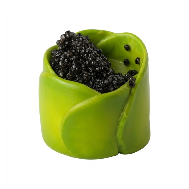 B3 Oeuf De Toufor Avocat